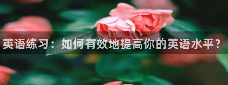 德国一竞技官方正版app集团：英语练习：如何有效地提