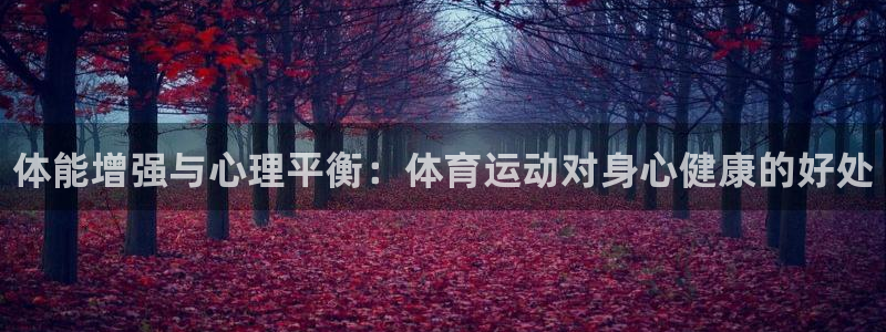 一竞技官方正版app官网：体能增强与心理平衡：体育运