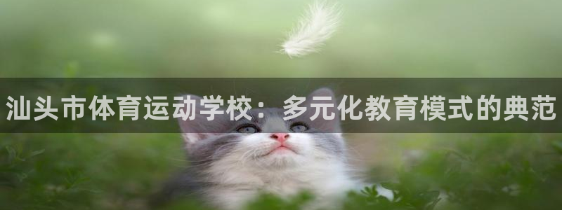 一竞技官方正版app集团简介：汕头市体育运动学校：多