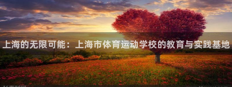一竞技官方正版app娱乐40996：上海的无限可能：