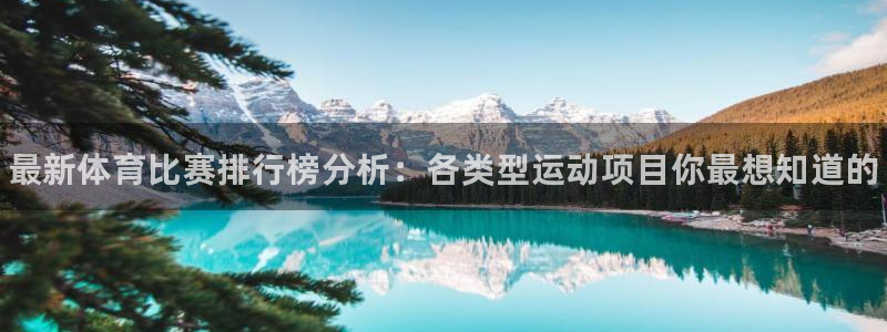 一竞技官网下载注册：最新体育比赛排行榜分析：各类型运动项目你