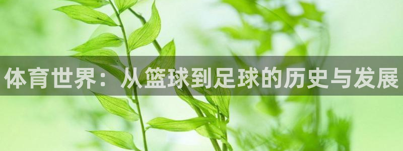 一竞技官方平台体育：体育世界：从篮球到足球的历史与发