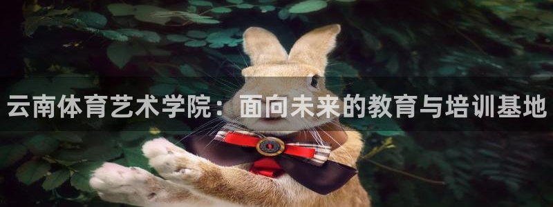 一竞技官网下载招商电话地址查询：云南体育艺术学院：面向未来的