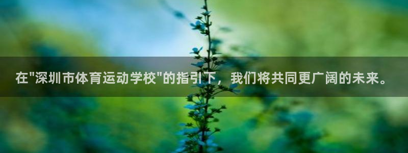 一竞技官网下载平台注册流程图：在\