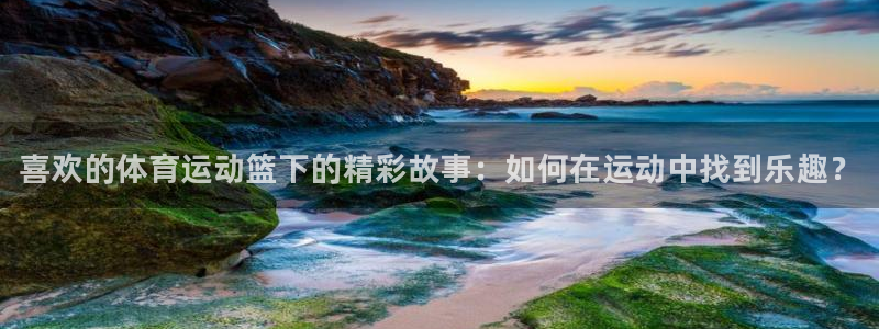 一竞技官方正版app新能源：喜欢的体育运动篮下的精彩
