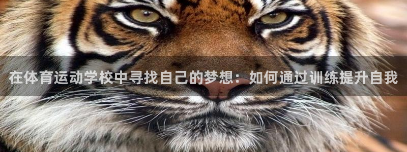 一竞技官网下载招商电话是多少啊：在体育运动学校中寻找