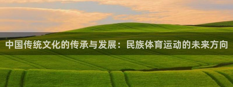 一竞技官方正版app娱乐40996：中国传统文化的传