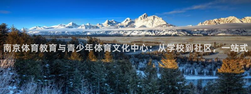一竞技官方正版app五金厂：南京体育教育与青少年体育