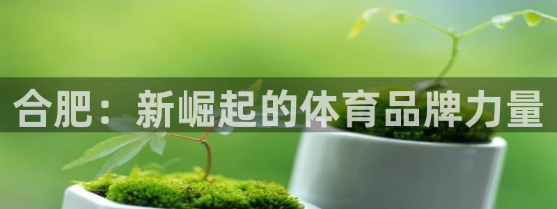 一竞技官方正版app娱乐首页网站大全：合肥：新崛起的