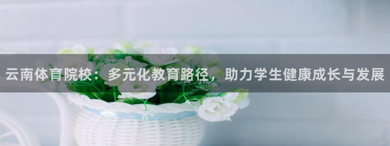 一竞技官方正版app神州：云南体育院校：多元化教育路
