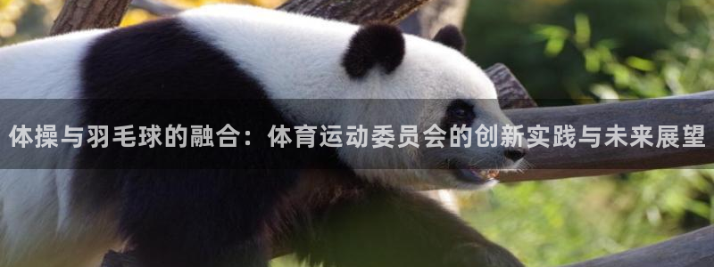 一竞技官方正版app官方：体操与羽毛球的融合：体育运