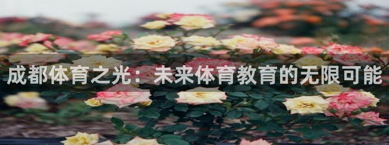 一竞技官网下载平台是正规平台吗安全吗：成都体育之光：