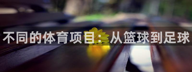 一竞技官网下载招商电话号码查询是多少：不同的体育项目：从篮球