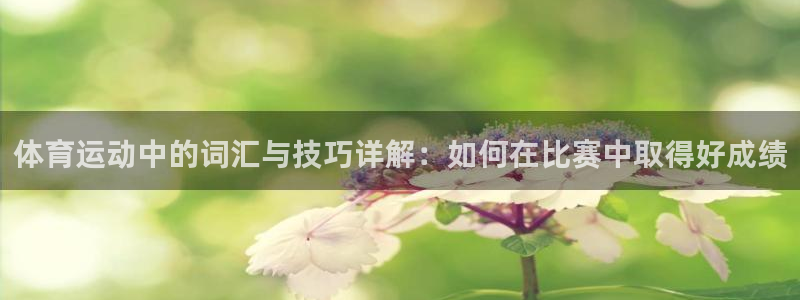 一竞技官方集团官网