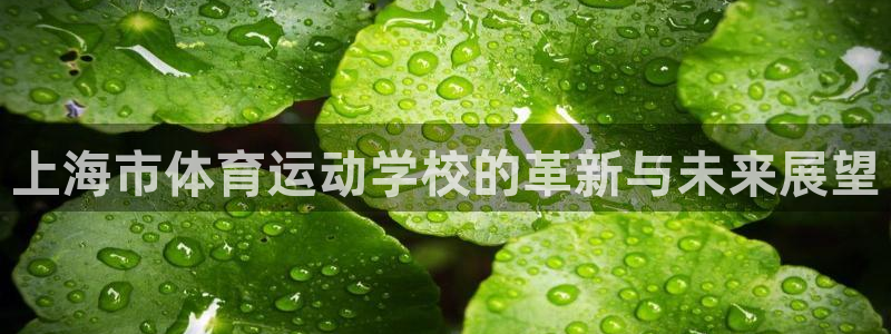 一竞技官网下载开户