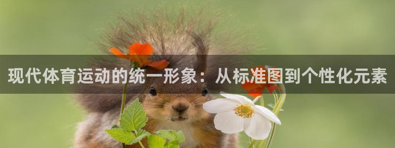 一竞技官网下载注册：现代体育运动的统一形象：从标准图