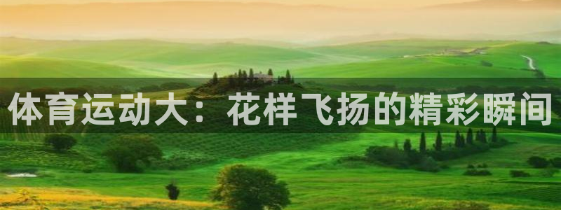 一竞技官网下载平台是正规平台吗：体育运动大：花样飞扬的精彩瞬