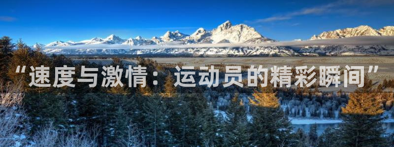 一竞技官方正版app娱乐：“速度与激情：运动员的精彩瞬间”