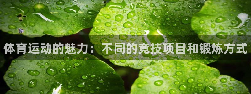 一竞技官网下载软件