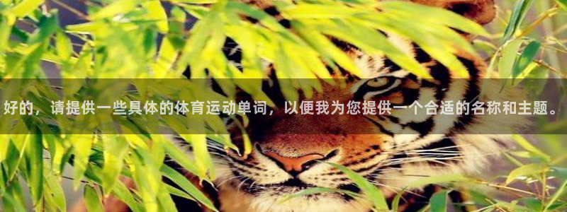 一竞技官方正版app集团官网网址：好的，请提供一些具体的体育