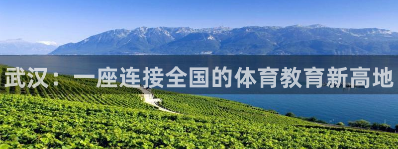 海南一竞技官网下载：武汉：一座连接全国的体育教育新高地