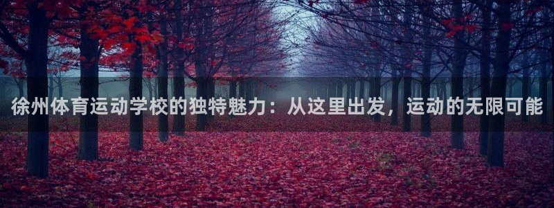 一竞技官方正版app新能源：徐州体育运动学校的独特魅