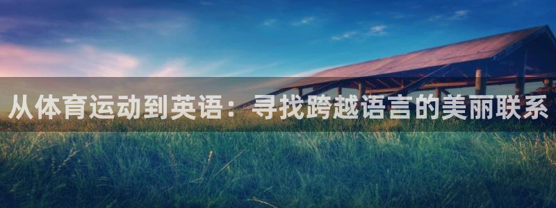 一竞技官网下载是干嘛的公司：从体育运动到英语：寻找跨越语言的