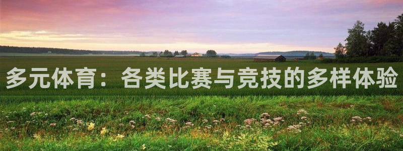 一竞技官方正版app娱乐是那个系列的台子