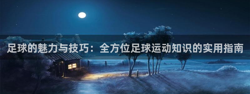 一竞技官网下载注册：足球的魅力与技巧：全方位足球运动