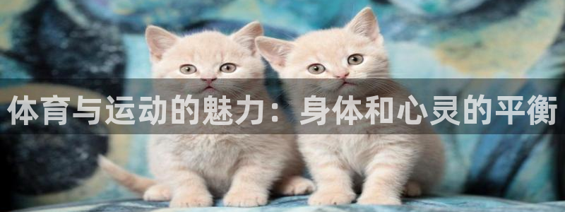 一竞技网址