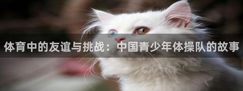 一竞技dota：体育中的友谊与挑战：