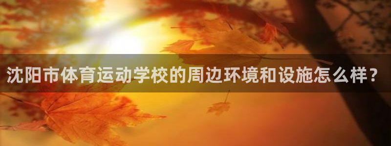 一竞技测速站：沈阳市体育运动学校的周