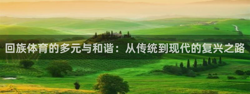 一竞技官网网址是多少：回族体育的多元
