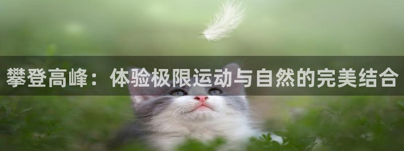 一竞技测速站网址是什么：攀登高峰：体验极限运动与自然的完美结