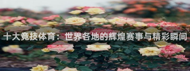 一竞技平台可靠吗：十大竞技体育：世界各地的辉煌赛事与精彩瞬间