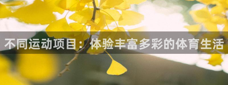  一竞技官网APP：不同运动项目：体验丰富多彩的体育生活