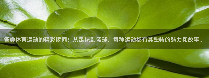  一竞技官方网站入口：各类体育运动的精彩瞬间：从足球到篮球，每