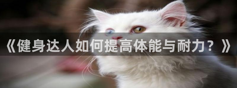  一竞技网页版入口：《健身达人如何提高体能与耐力？》