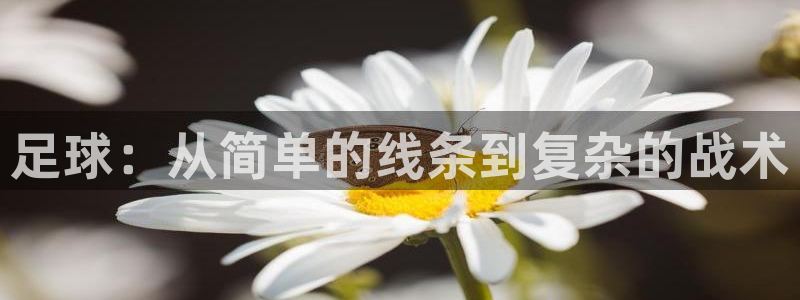 一竞技one卡安不安全：足球：从简单的线条到复杂的战术