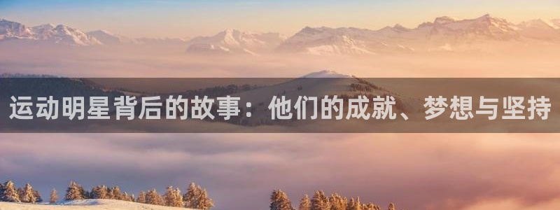  一竞技平台是杂牌吗：运动明星背后的故事：他们的成就、梦想与坚