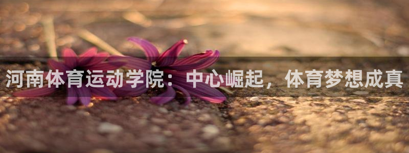  一竞技官网APP：河南体育运动学院：中心崛起，体育梦想成真
