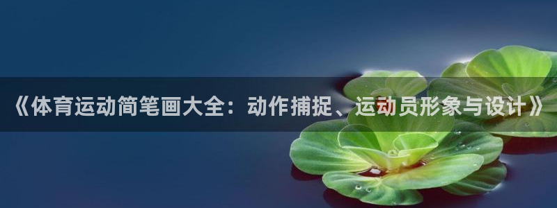  一竞技app下载：《体育运动简笔画大全：动作捕捉、运动员形象