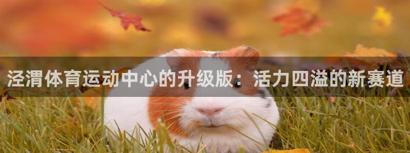 一竞技官网游戏平台