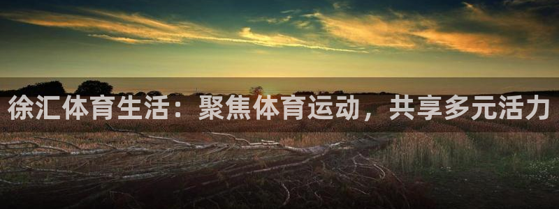 一竞技app官方网站